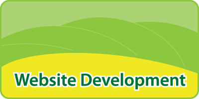 Website Development